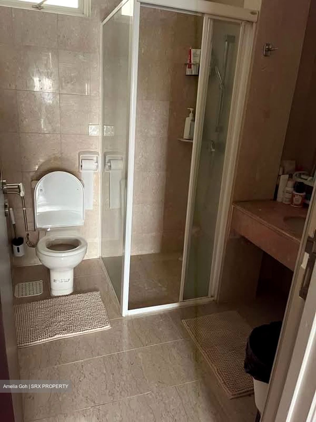 Oleander Towers (D12), Apartment #568898751